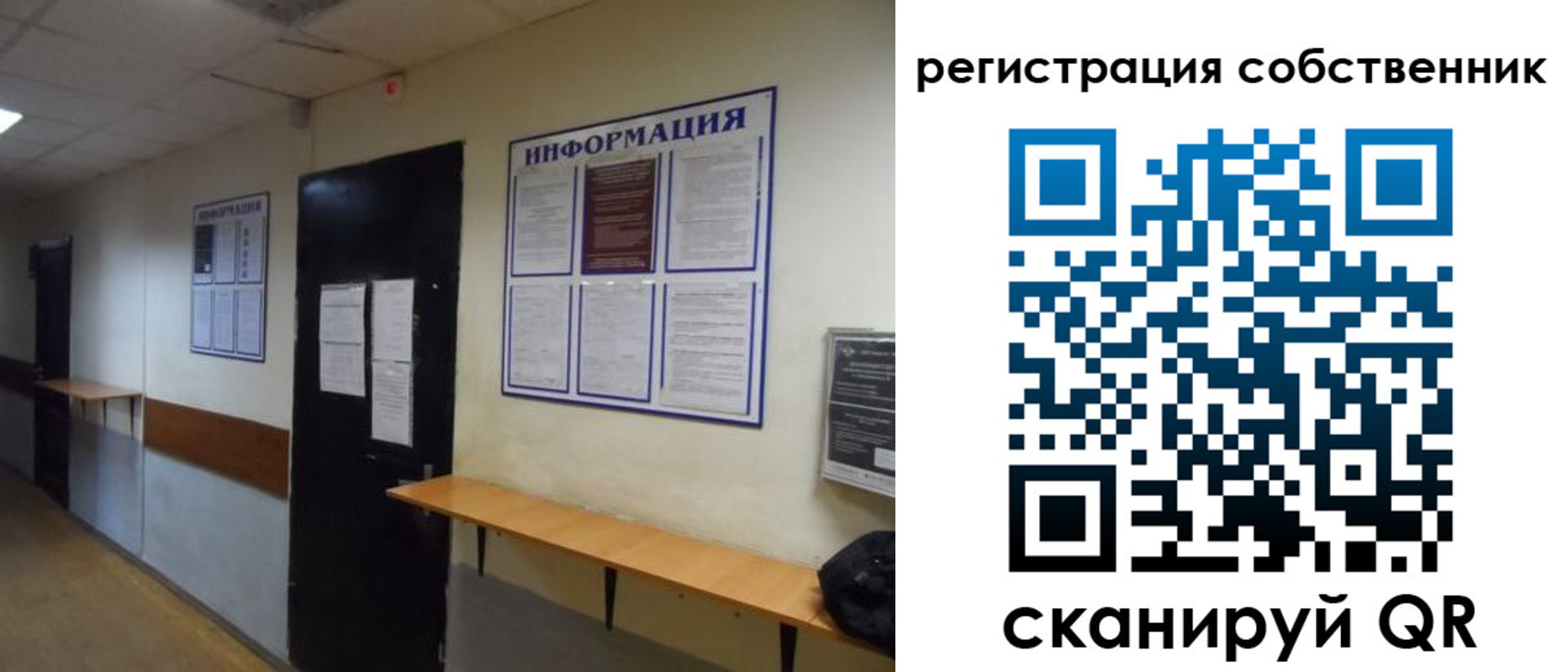 временная регистрация госуслуги в Курске