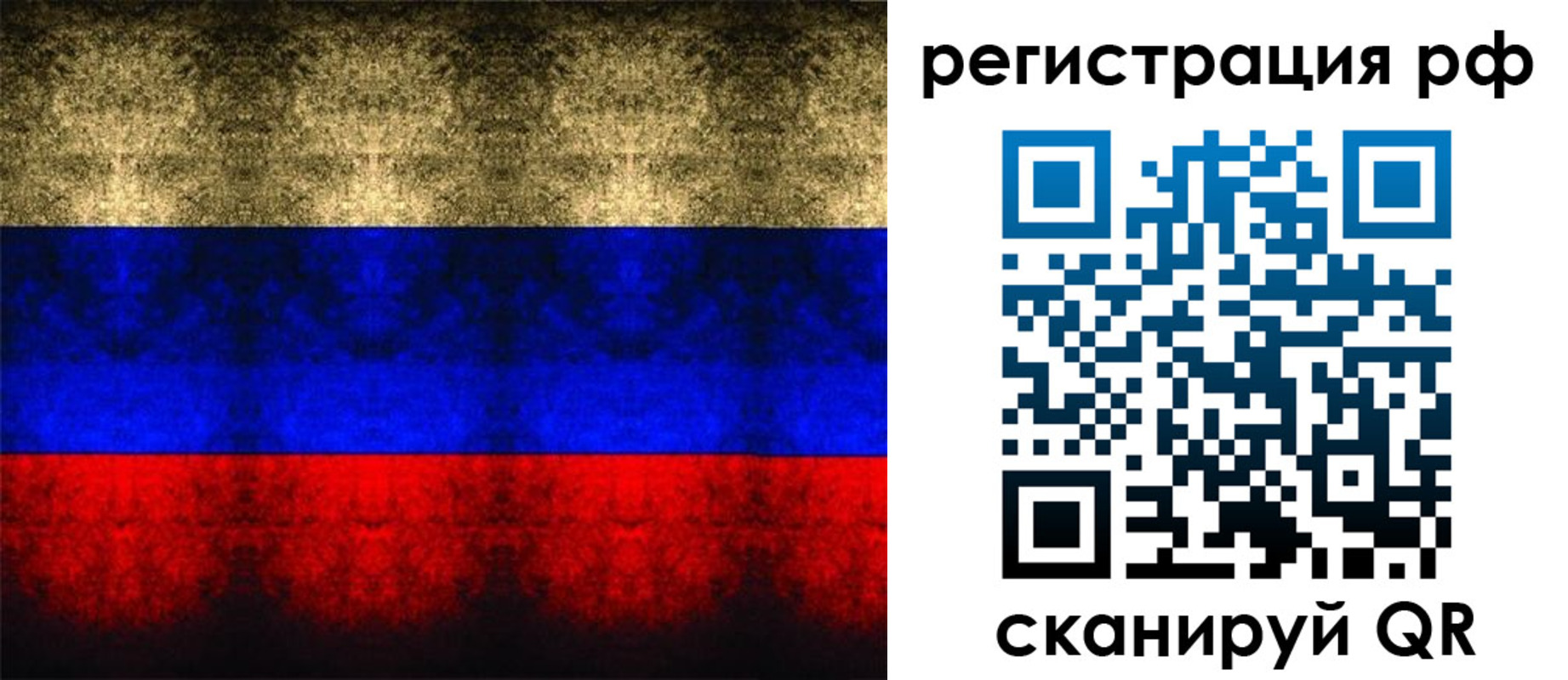 временная регистрация поиск в Курске